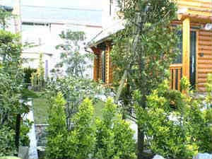 鹿児島ログ庭の植栽